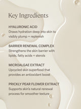The Base Face Milk - ILIA Beauty Nederland 