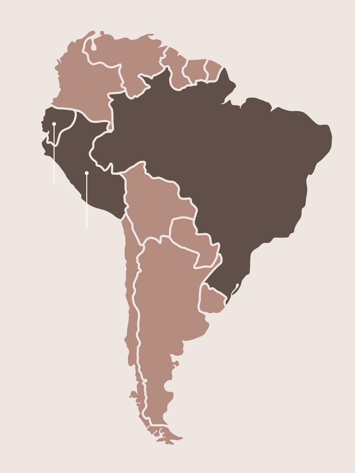 Kaart van Zuid-Amerika waarop Brazilië, Peru en Ecuador zijn uitgelicht